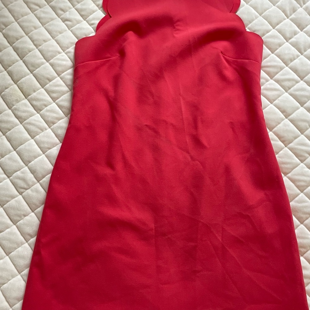 J. Crew Strapless Scalloped Pink Dress
